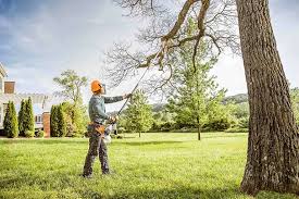 Lawn Renovation and Restoration in White Sulphur Springs, MT